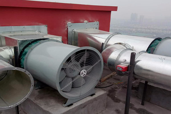 山东91视频下载地址