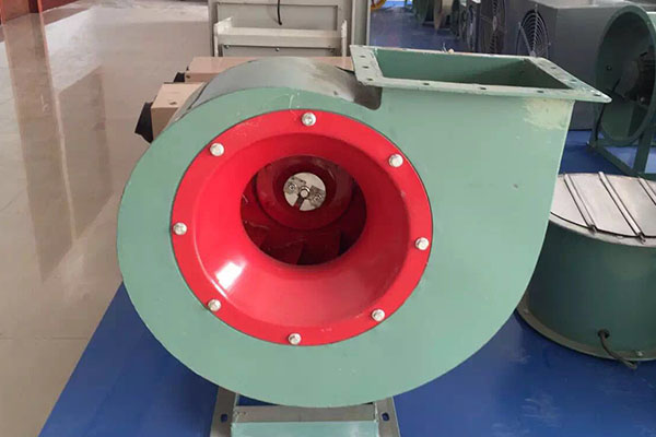 山东91视频下载地址