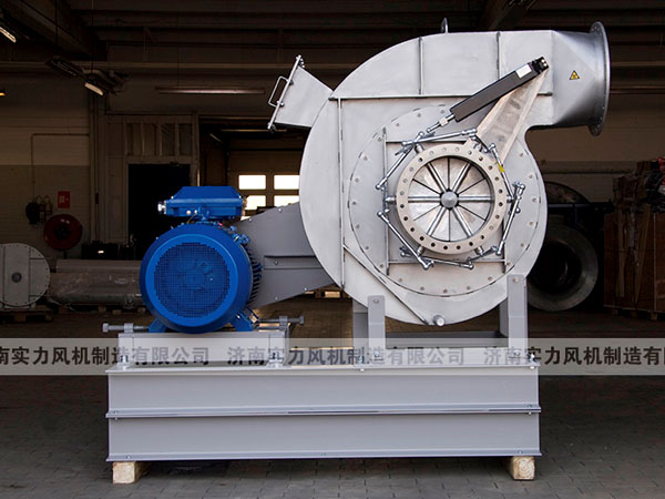 山东91视频下载地址