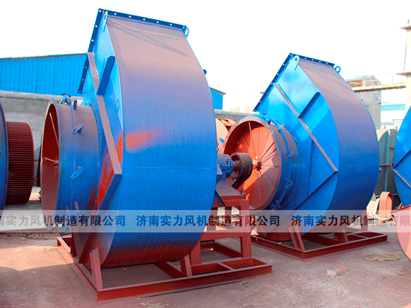 山东91视频下载地址