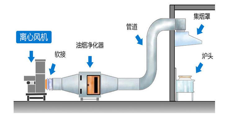 山东91视频下载地址安装方法