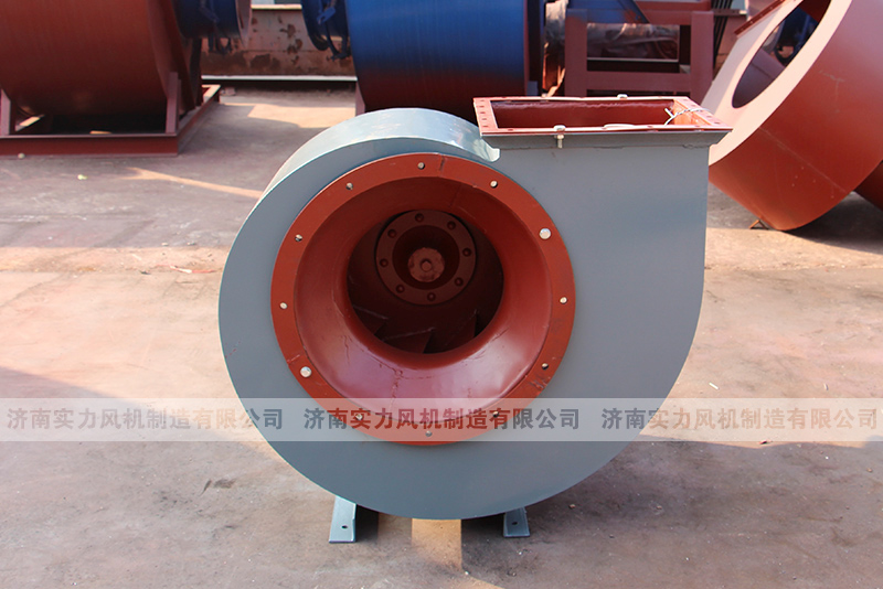 济南离心91视频下载地址