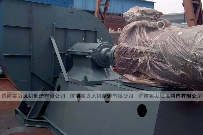 济南离心91视频下载地址